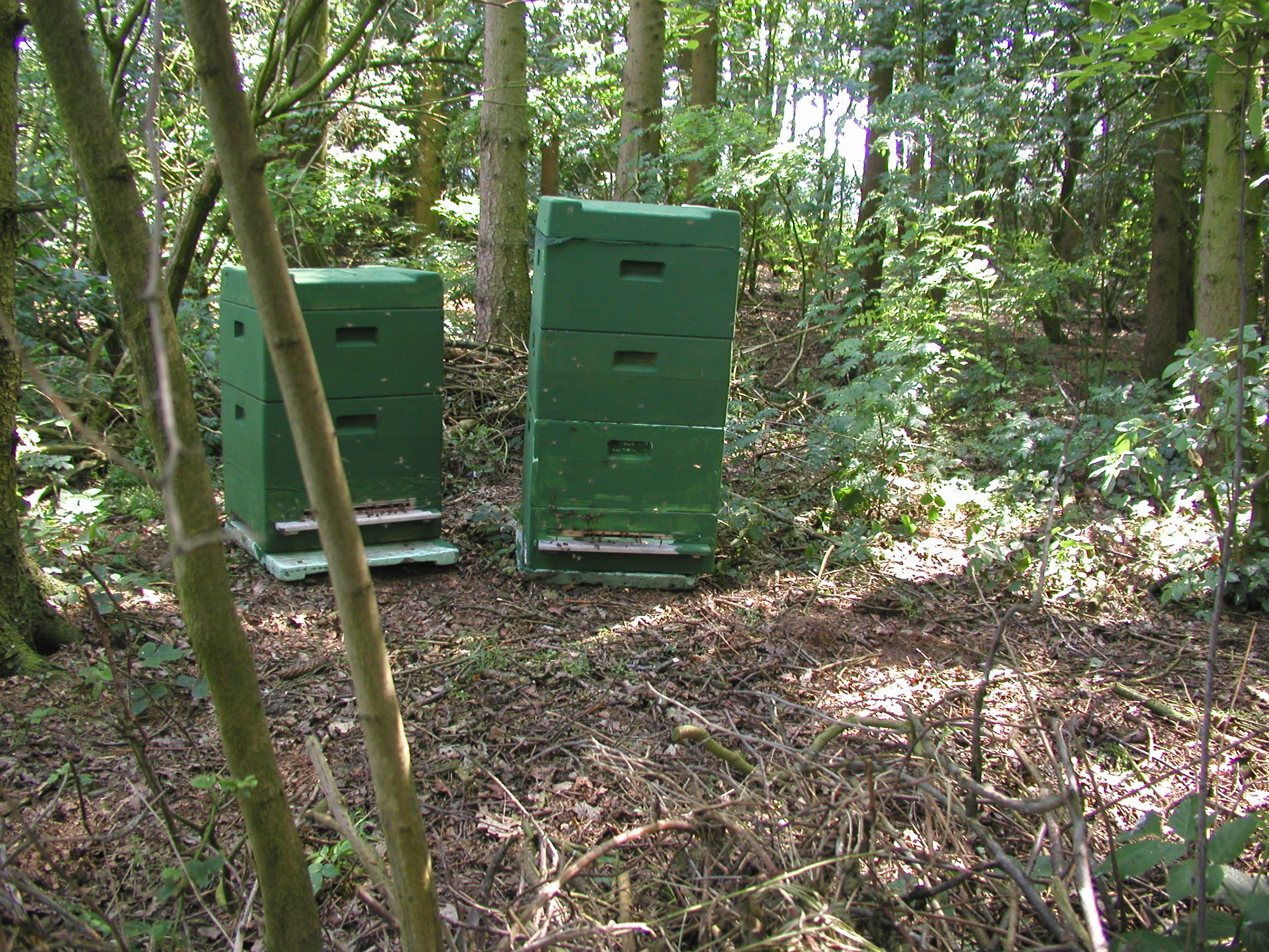 Bild 113